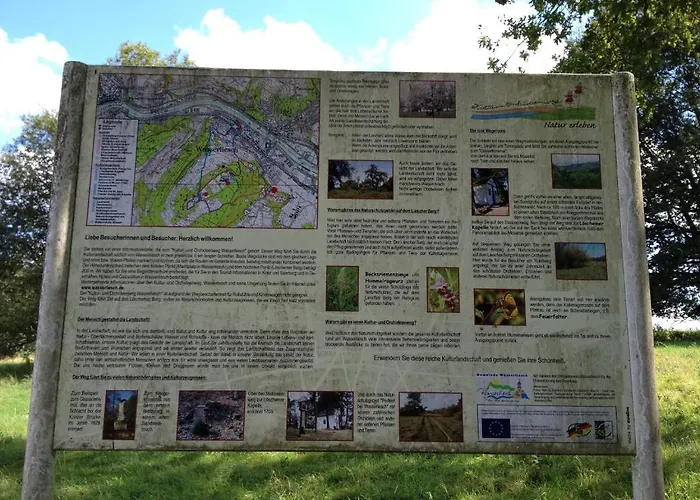 Scheid's - Restaurant